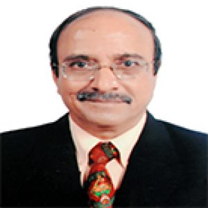 N. K. Bhargava