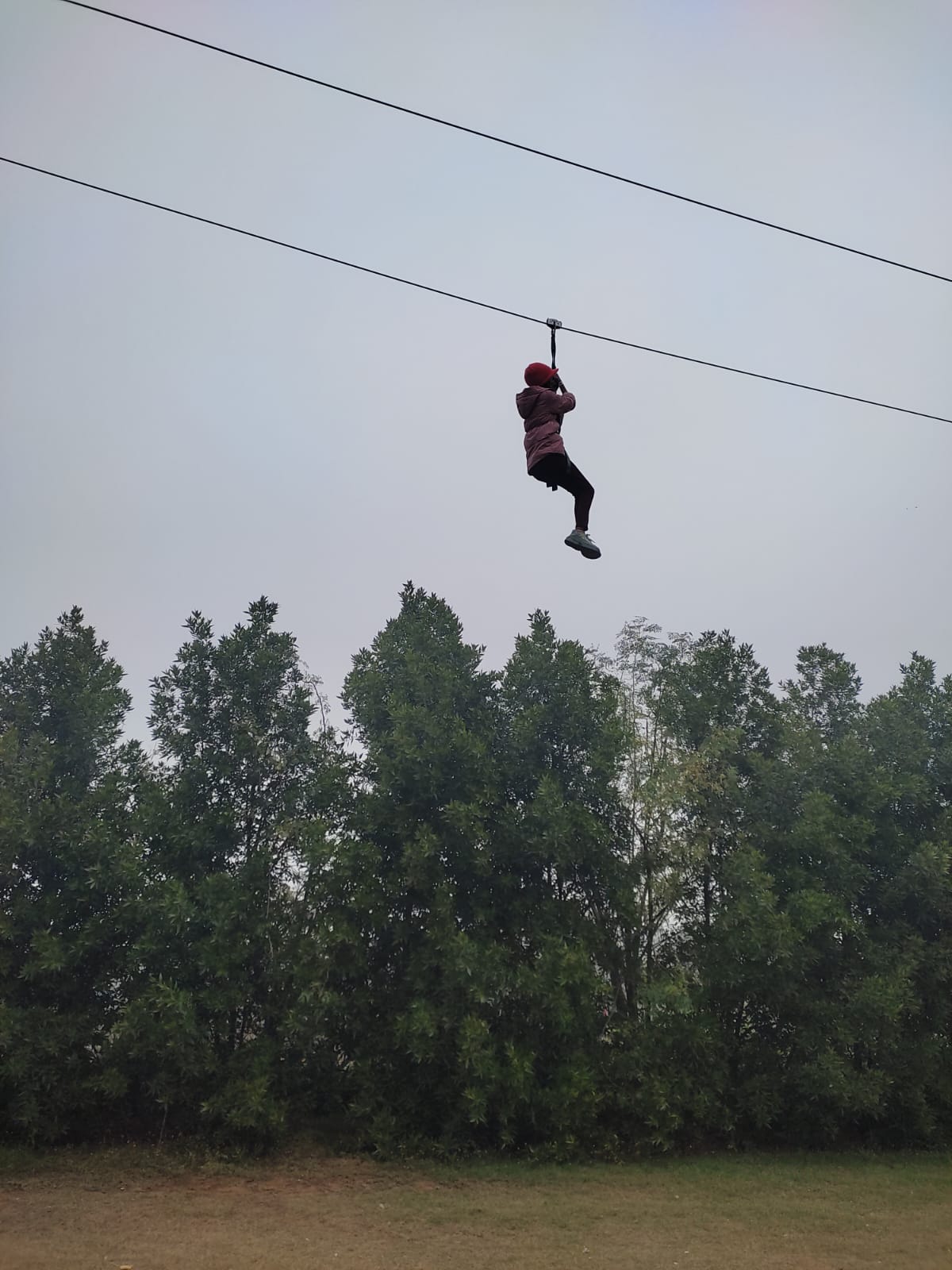 WhatsApp Image 2024-12-31 at 12.01.34